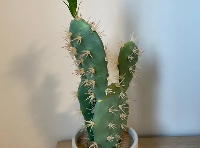 Appartamento Vivienda Turistica Cigueenas Con Garaje